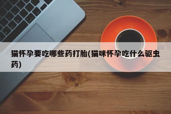 流产药购买猫怀孕要吃哪些药打胎(猫咪怀孕吃什么驱虫药)