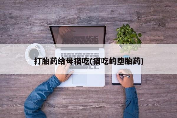 流产药购买打胎药给母猫吃(猫吃的堕胎药)