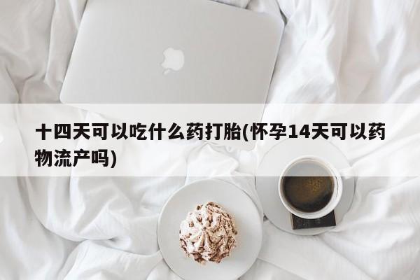 流产药购买十四天可以吃什么药打胎(怀孕14天可以药物流产吗)